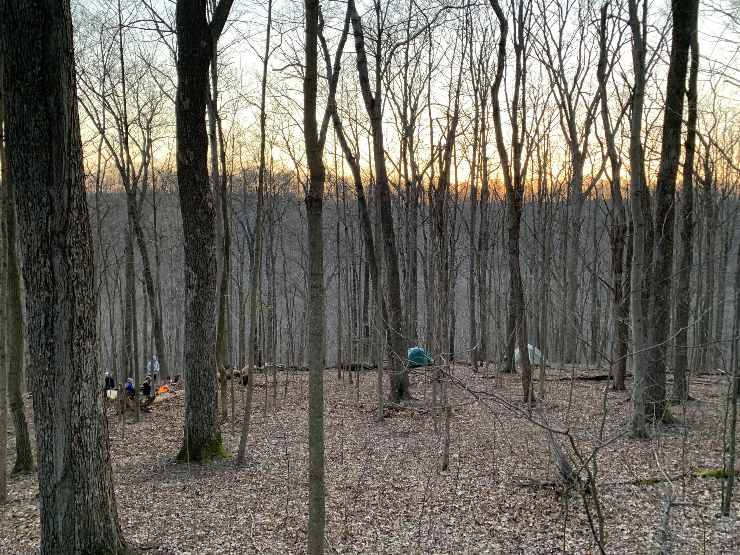 Archer's Fork March 2020