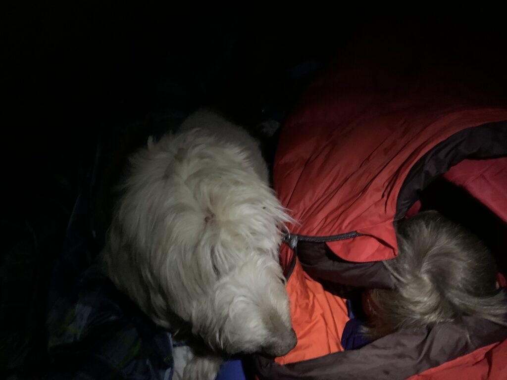 Sandy and Luke sleeping